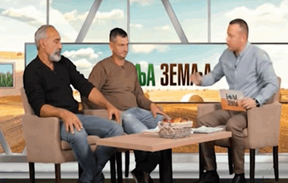 U SRBIJI ZULUM U 21. VEKU! Migranti stočarima iz Šida uništili stado <span style='color:red;'><b>priplod</b></span>nih ovaca