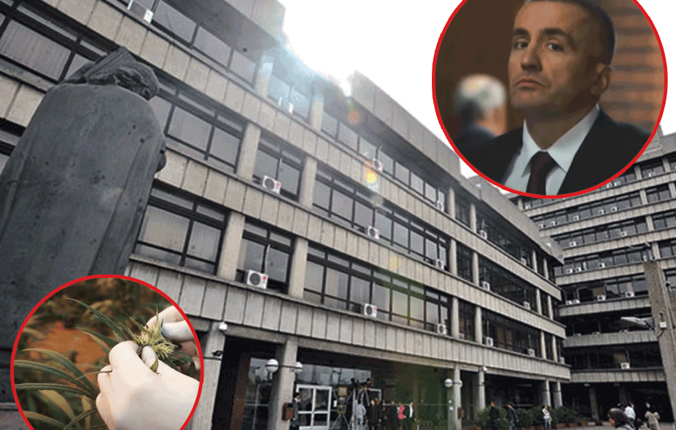 Ko je <span style='color:red;'><b>Saša Drecun</b></span>, TUŽILAC KOJEG NIJE ZAOBIŠLA SKORO NIJEDNA AFERA iz sveta kriminala i politike u Srbiji?