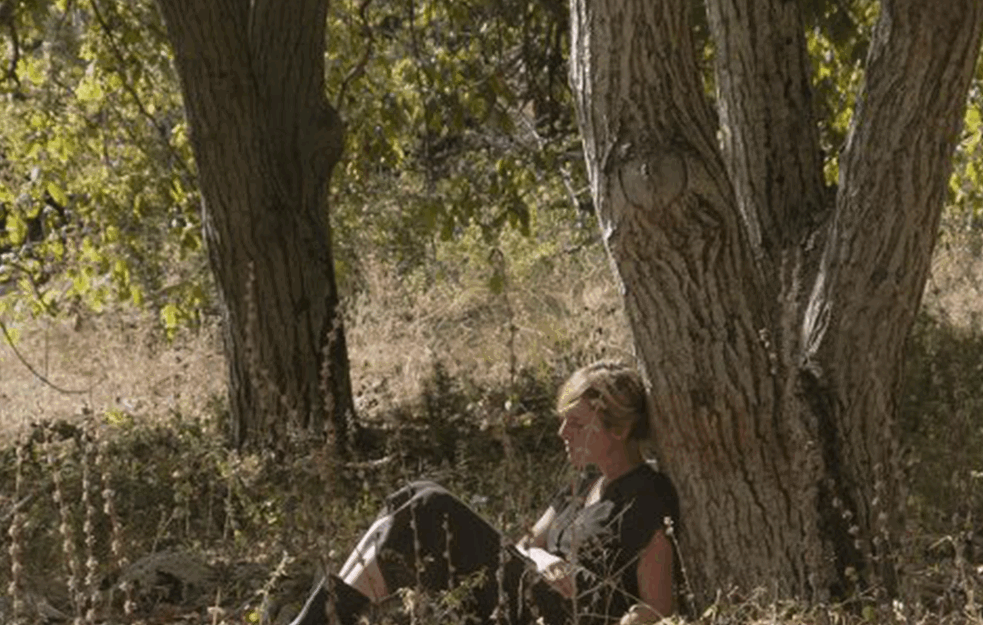 Uspeh srpskog filma! <span style='color:red;'><b>Svetska premijera</b></span> `Domovine` na festivalu u Marseju