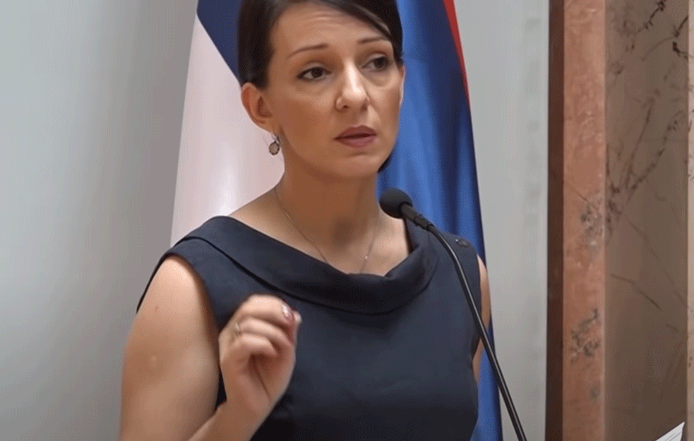 Marinika Tepić: Ljajić potvrdio da režim radi za trgovca oružjem Slobodana Tešića