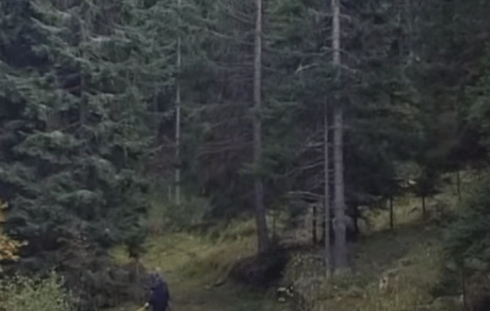 Čišćenje kasetnih bombi kod Pančićevog vrha na Kopaoniku! Do sada stradalo četiri <span style='color:red;'><b>deminer</b></span>a