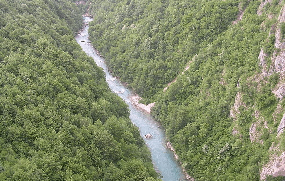 EKOCID NAD SUZOM EVROPE U CRNOJ GORI: Traži se reakcija države zbog zagađivanja reke Tare