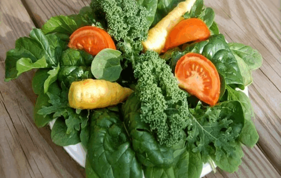 Za DUGOROČNO ZDRAVLJE vitamin K je NEOPHODAN! Evo koje su namirnice njegov IZVOR!