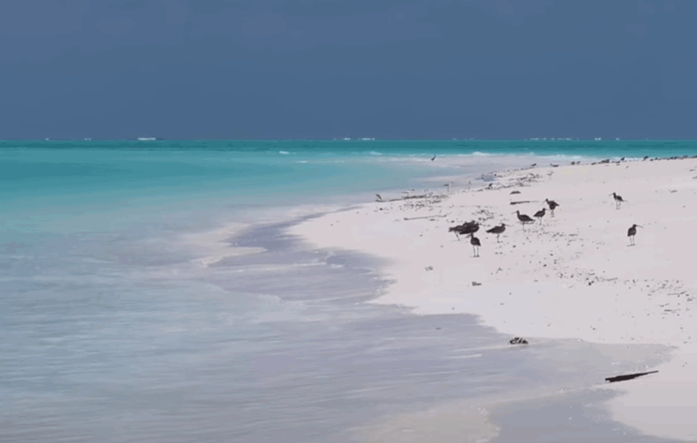 KAKVO LUDILO MOZGA! ‘NAPARITE’ oči prizorima iz ekskluzivnog letovališta privatnog rizorta ostrvceta u <span style='color:red;'><b>Zanzibar</b></span>u! (VIDEO)