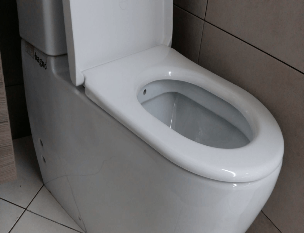 <span style='color:red;'><b>RIBANJE</b></span> WC ŠOLJE VIŠE NEĆE BITI MUKA : Potreban vam je samo jedan sastojak iz kuhinje