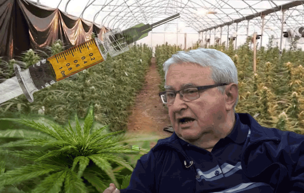 DA LI SRBIJA TREBA DA LEGALIZUJE MARIHUANU? ‘Bogati koriste kokain, siromašni heroin, a pametni biraju čime će se drogirati\