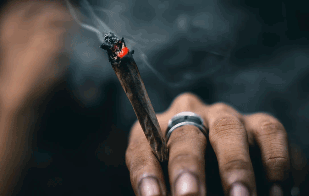 <span style='color:red;'><b>MARIHUANA</b></span> SVE POPULARNIJA U AMERICI: Skoro polovina mladih Amerikanaca probala travu