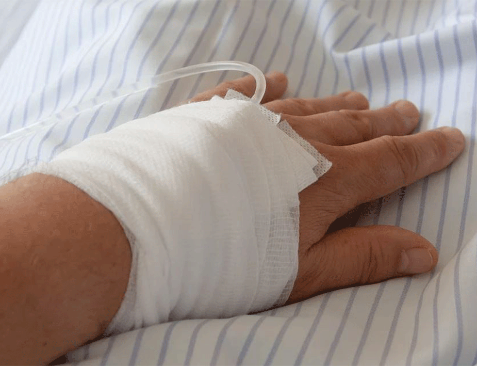 MAJMUNSKE BOGINJE ipak nisu razlog za paniku