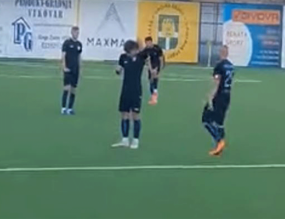 Prekinuta utakmica u Hrvatskoj: Žuti papagaj napao igrače! (VIDEO)