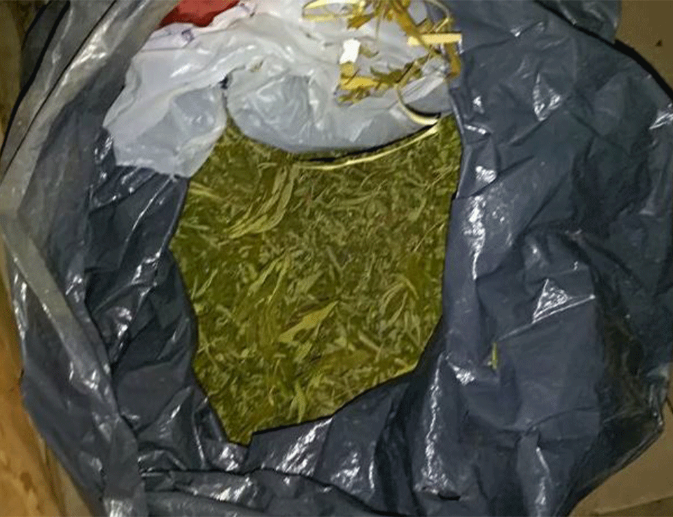 HAPŠENJE DILERA U BAČU I OBRENOVCU: Zaplenjeno 25 kilograma MARIHUANE i manja količina HEROINA 