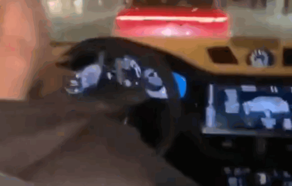 <span style='color:red;'><b>RUSKI RULET</b></span> NA ULICAMA BEOGRADA! Jurcali ulicama, sve snimali pa UMALO UDARILI PEŠAKA, POLICIJA UHAPSILA PRESTUPNIKA! (VIDEO)
