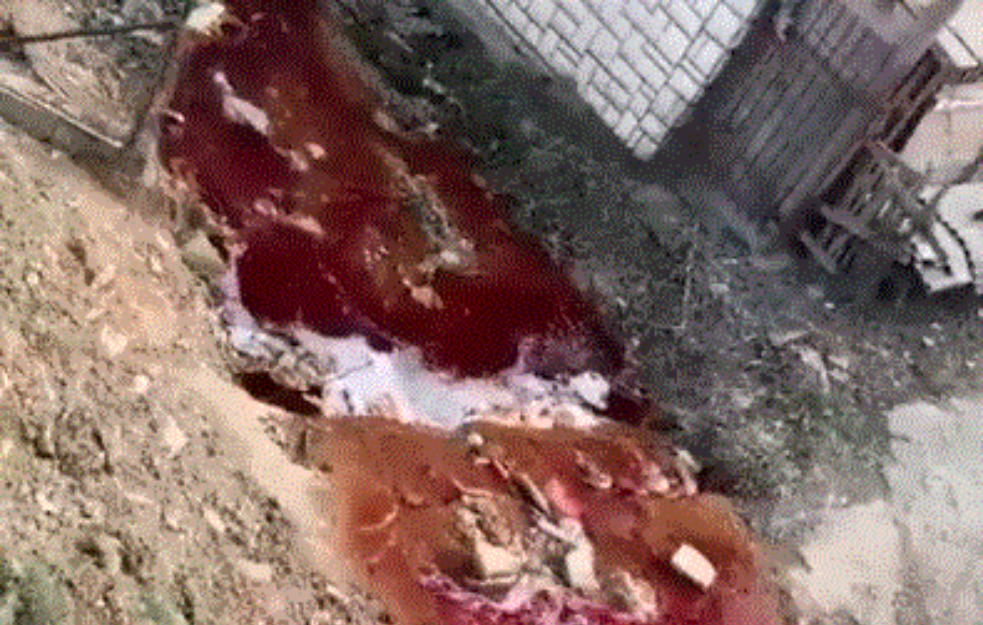 STRAVIČAN PRIZOR: <span style='color:red;'><b>Krvava reka</b></span> teče Novim Pazarom, meštani uznemireni 'IMA LI KRAJA BAHATOSTI'! (VIDEO)




