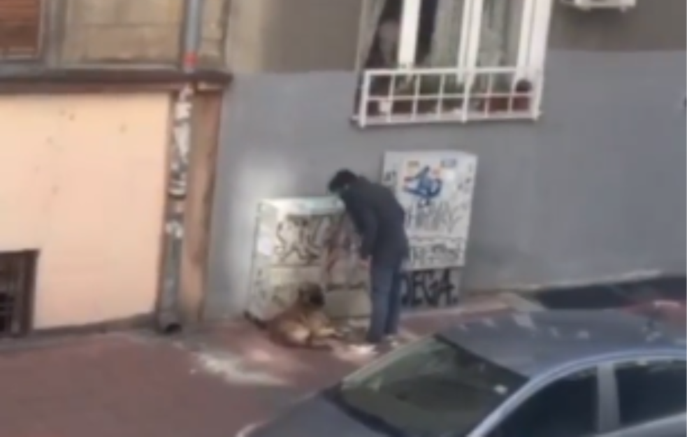 UHAPŠEN NASILNIK KOJI JE BRUTALNO <span style='color:red;'><b>TUKAO PSA</b></span>: U centru Beograda zlostavljao bespomoćnu životniju! (VIDEO) 

