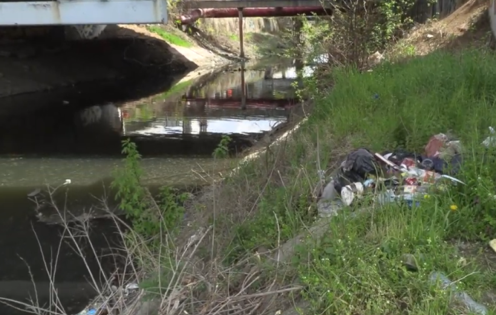 UŽAS NA ČUKARIČKOM RUKAVCU! Širi se nesnosni smrad, MRTVE RIBE plutaju okolo (VIDEO)