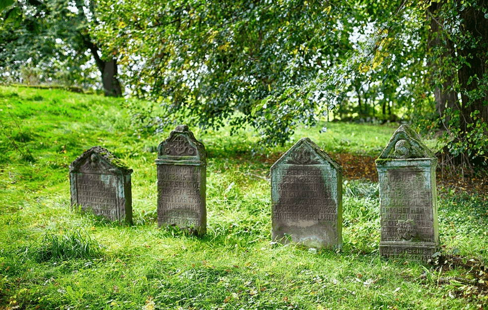 OSKRNAVLJENI MUSLIMANSKI <span style='color:red;'><b>GROBOVI</b></span>! Ostavili komade SVINJETINE i polili CRVENOM bojom