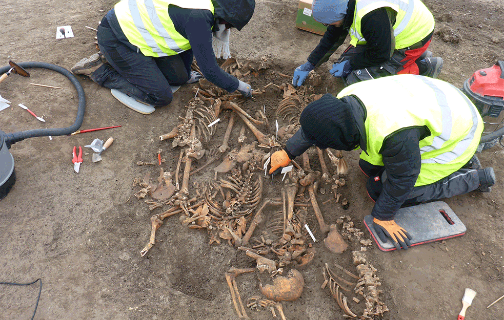 Foto: Stadtarchäologie Wien