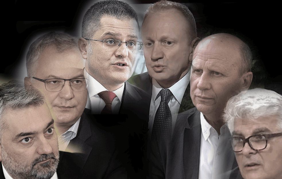 Saradnici Borisa Tadića