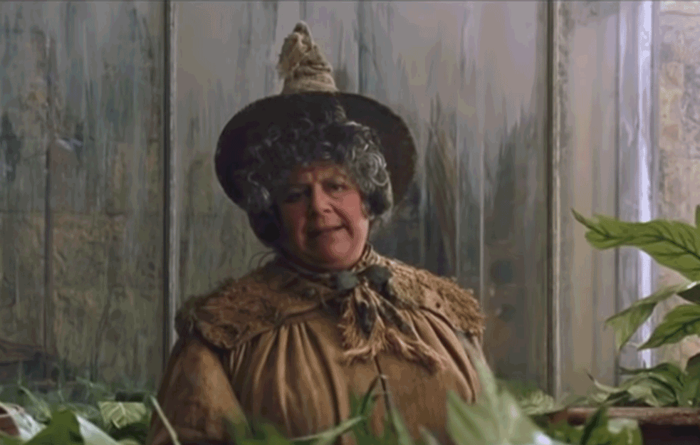 Foto: Youtube/Printscreen/WizardingWorld