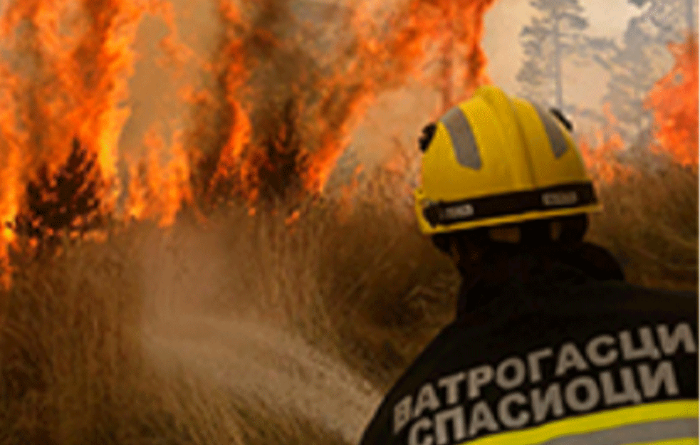 Srpski vatrogasci gase požar na ostrvu Evija