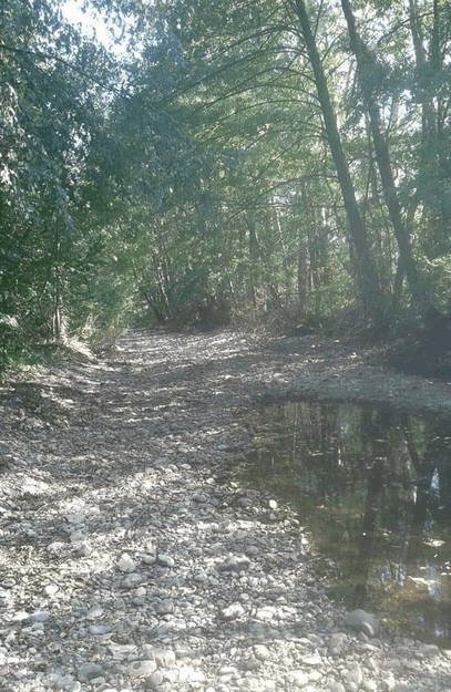 Foto: Vojvođanska zelena inicijativa