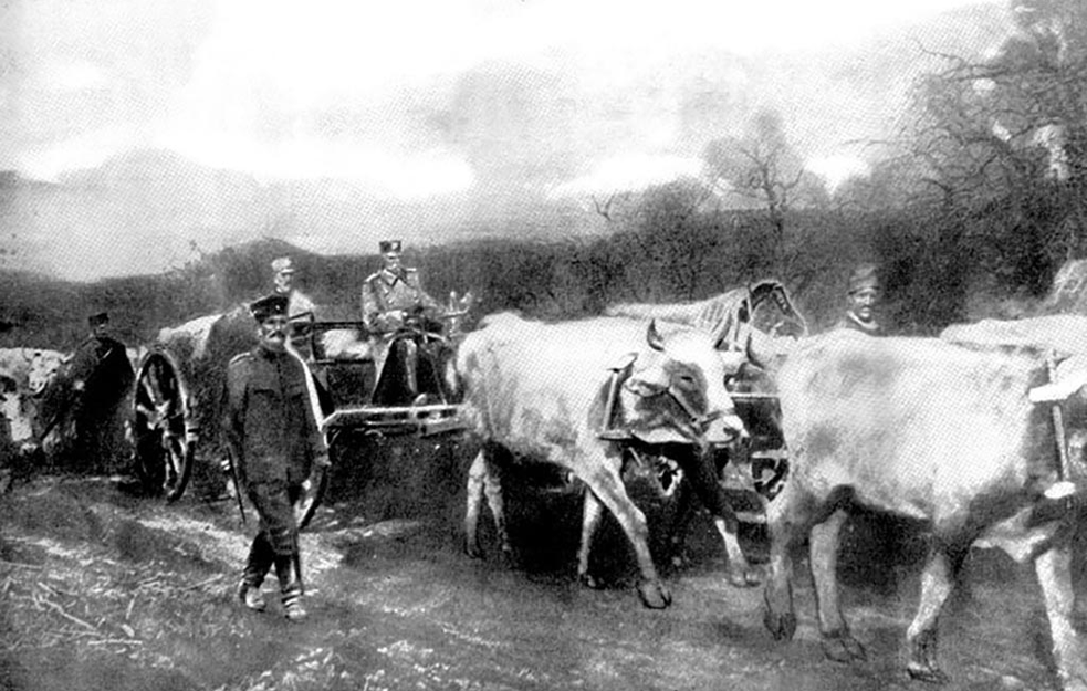 Kralj Petar i Karađorđević Foto: Vladimir Bečić
