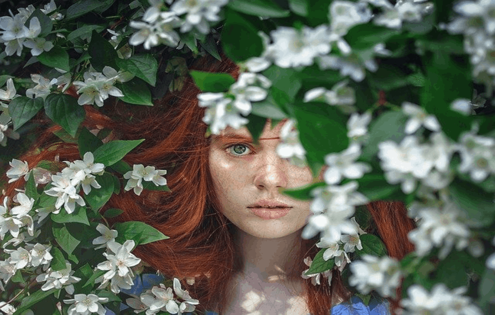 Foto: Pixabay