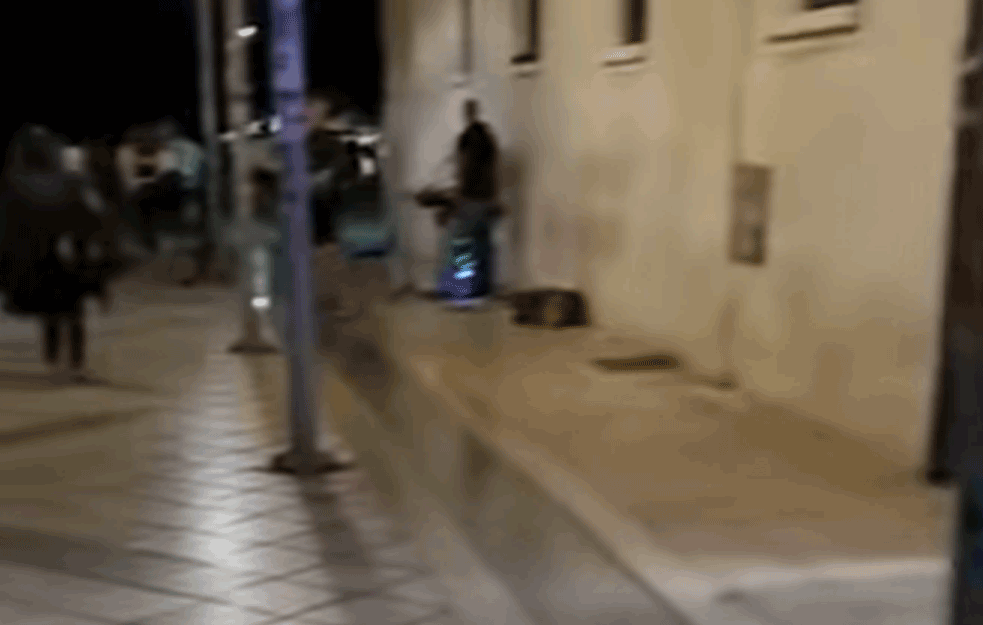 SRAMOTA NA SPLITSKOJ ULICI: Svirač izvodio USTAŠKU PESMU o CRNOJ LEGIJI! (VIDEO)     