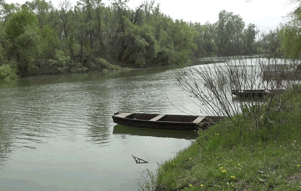 UŽAS U ŠUMI KOD TAMIŠA: Čovek otišao da prošeta, pa naišao na OBEŠENO TELO!