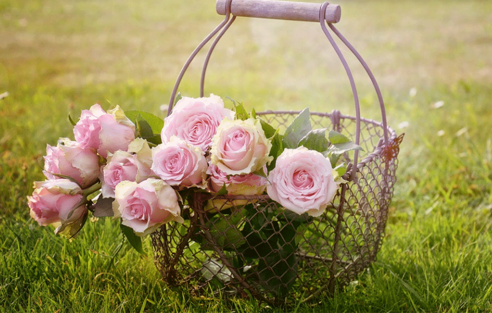 ŠTA ZVEZDE PREDVIĐAJU ZA 25. SEPTEMBAR: Preokreti na poslovnom polju, problemi sa probavom i povoljan dan za LJUBAV