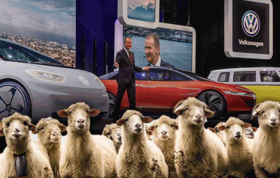VOLKSVAGEN ZAPOSLIO OVCE! 