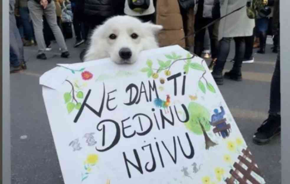 NI ONI NE DAJU DEDINU NJIVU! Srpski sportisti digli glas protiv Rio Tinta