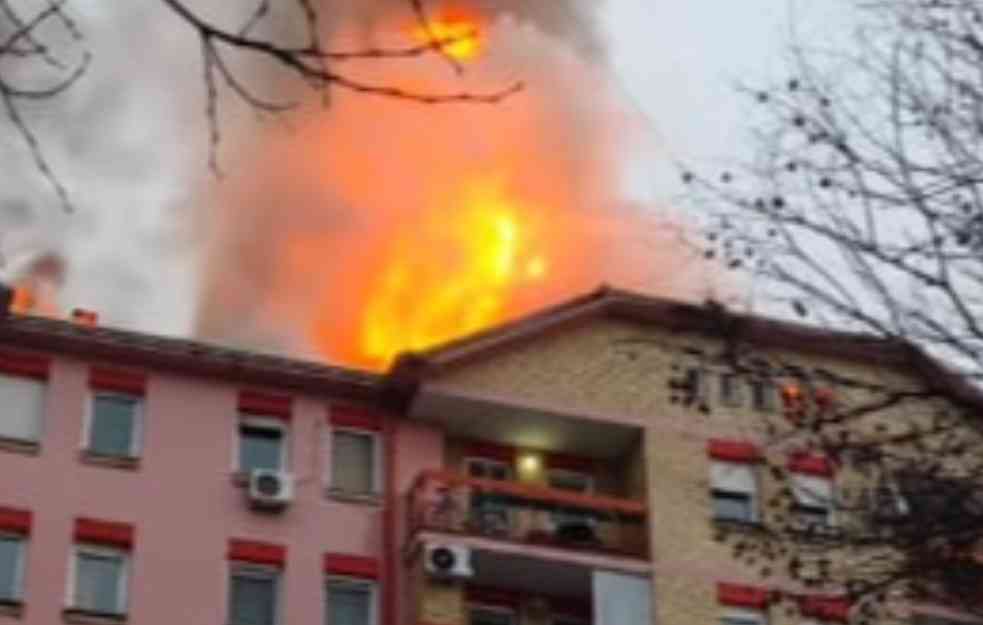 VATROGASCI SE I DALJE BORE SA VATRENOM STIHIJOM! Sumnja se da je OVO uzrok požara (FOTO) 
