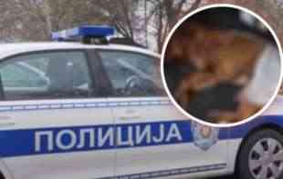 OBESIO PSA O DRVO pa uhapšen posle BRZE ISTRAGE policije!