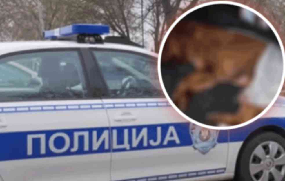 MONSTRUM KOJI JE OBESIO PSA U RUMI OSTAJE IZA REŠETAKA! Komšije otkrile: On je alkoholičar, jednu devojku je napao puškom!