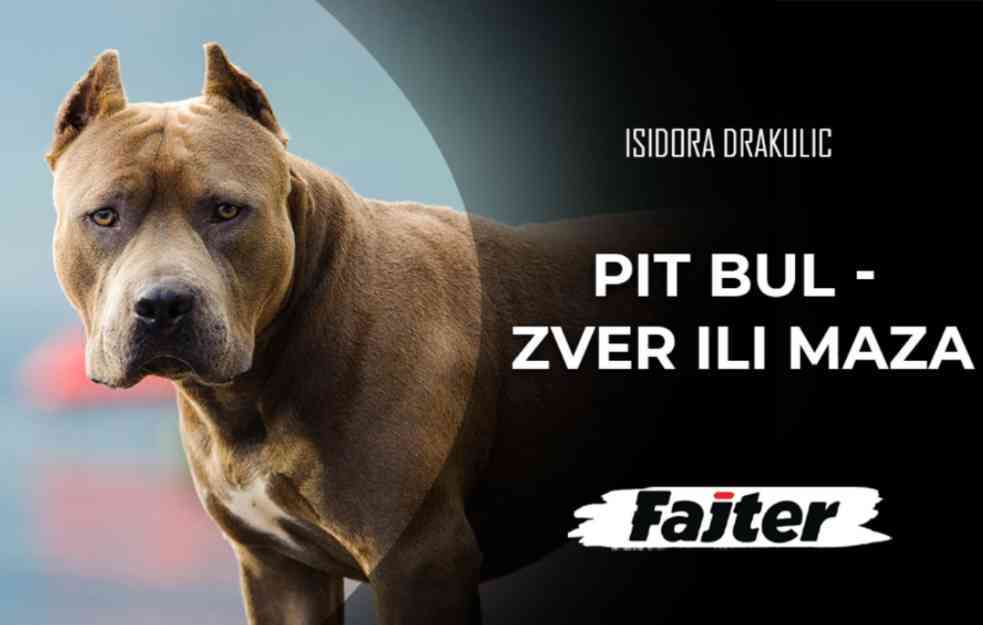 ISIDORA SEKULIĆ o istinama i predrasudama: PIT BUL - krvoločna ZVER ili umiljata MAZA? (VIDEO)