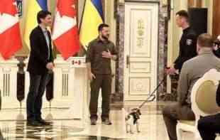 UKRAJINSKI PREDSEDNIK ODLIKOVAO PSA: Zašto je kratkonogi ljubimac dobio <span style='color:red;'><b>odlikovanje</b></span> od Zelenskog? (VIDEO)