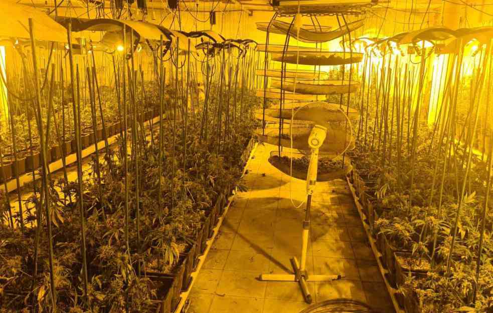 Laboratorija kod Smedereva: Ovo je zaplenjena aparatura za uzgoj marihuane (FOTO)