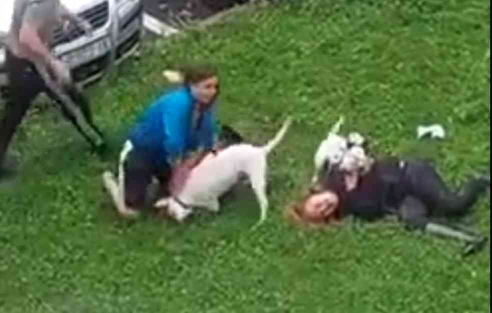 Dva pitbula napala ženu! ZAPOMAŽE NA SAV GLAS (VIDEO)