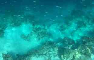 Naučnici otkrili misteriozne tragove na dnu <span style='color:red;'><b>Atlantik</b></span>a