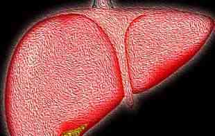 OPASNA <span style='color:red;'><b>BOLEST JETRE</b></span> KOJA SE BRZO RAZVIJA : Na udaru su žene više nego muškarci