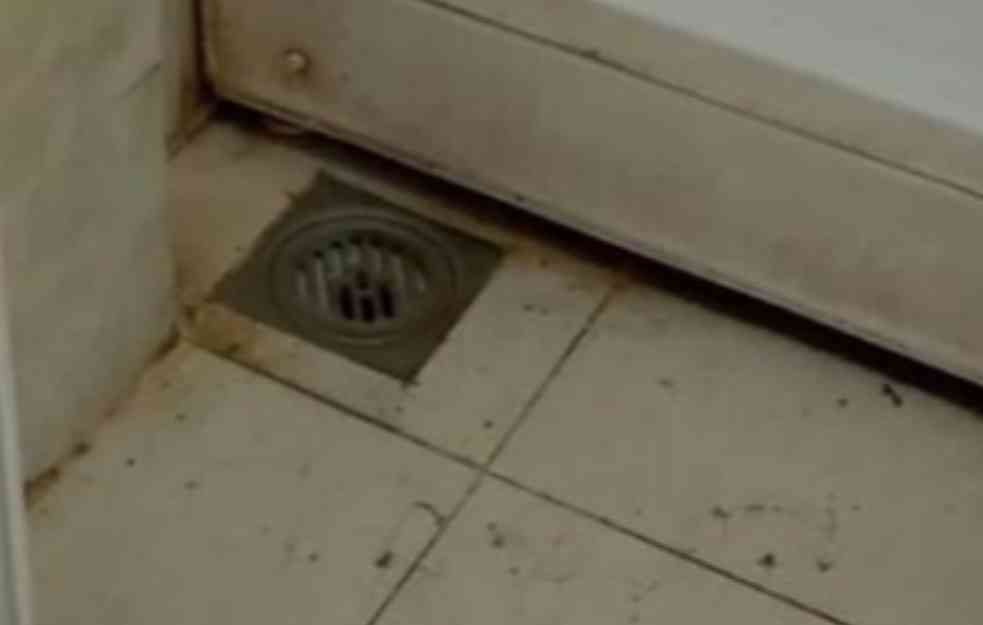Kupatilo porodilišta u Višegradskoj: Crvi gamižu na sve strane (FOTO i VIDEO)