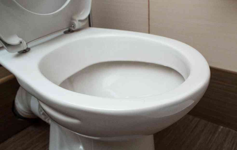 Zmija izvučena iz WC šolje: Ostvario mu se najgori košmar