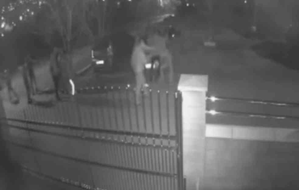UŽASNE SLIKE NASILJA: U braće Jerkovića kukavički pretukli dečaka koji je branio igralište (UZNEMIRUJUĆI VIDEO)