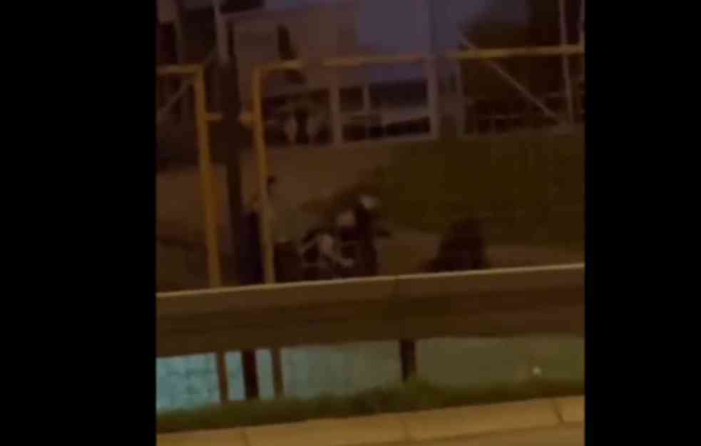 PRIVEDENI NASILNICI KOJI SU PREBILI MLADIĆA KOD PANČEVAČKOG MOSTA: Tukli žrtvu pesnicama, nogama i motkama (VIDEO)