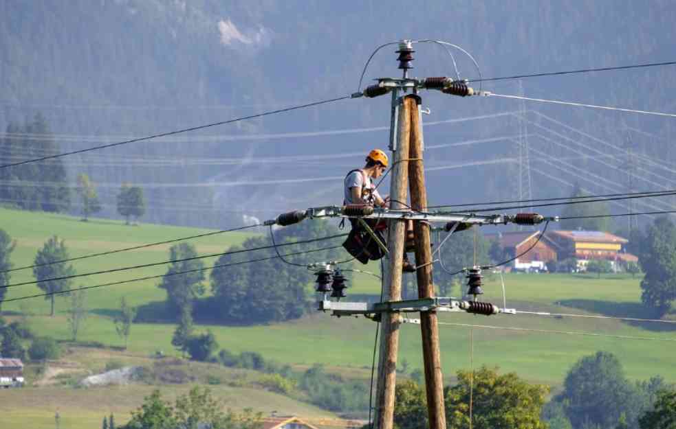 Elektrodistribucija Srbije uvela zaštitu za ptice
