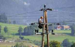 Elektrodistribucija Srbije uvela zaštitu za ptice