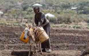 UN IZNEO STRAVIČNE PODATKE: U Sudanu pronađena masovna <span style='color:red;'><b>grobnica</b></span> sa 87 tela