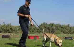 ČOVEKOV <span style='color:red;'><b>NAJBOLJI PRIJATELJ</b></span>! Policijski pas našao ženu u polju kukuruza nakon udesa, time joj SPASAO ŽIVOT!