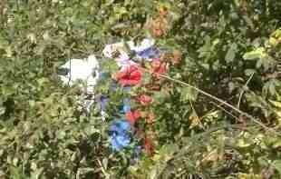 <span style='color:red;'><b>VANDALIZAM</b></span> ALBANACA: Polomljen jarbol sa srpskom zastavom (VIDEO, FOTO)