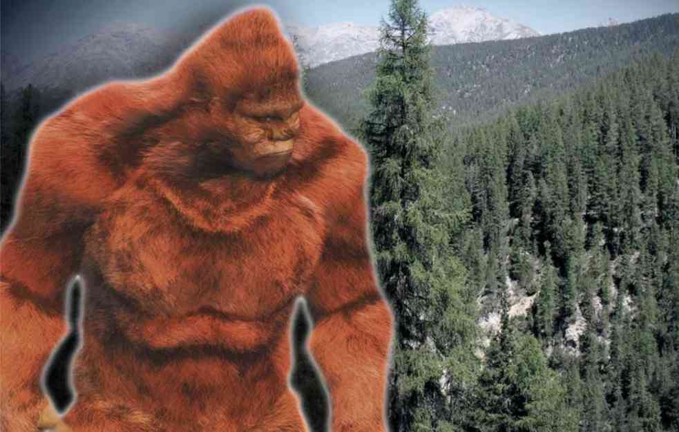 Da li je ovo konačan dokaz da Bigfut postoji? (FOTO, VIDEO) 